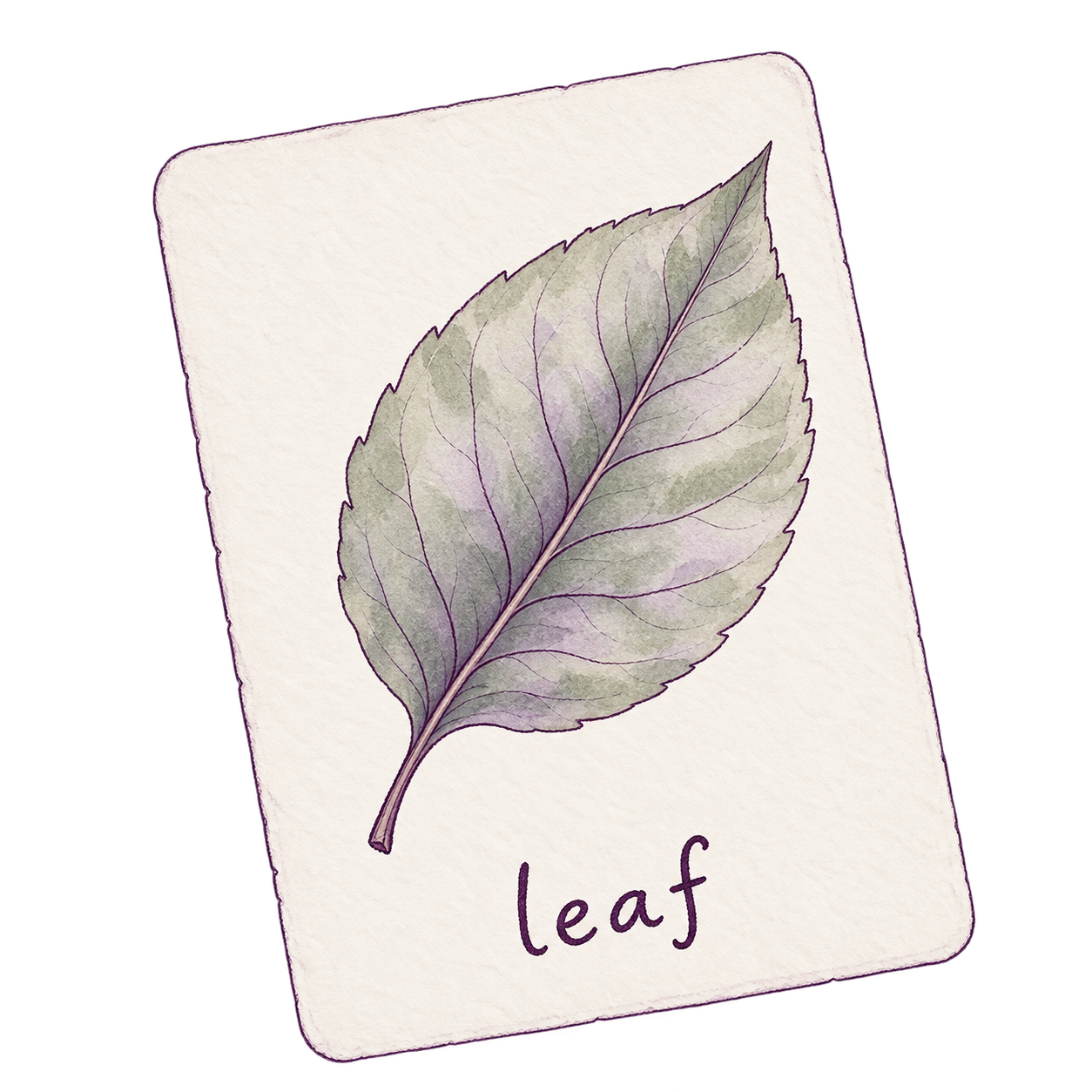 Karta łącząca rysunek liścia ze słowem leaf.